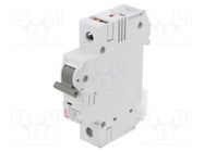 Circuit breaker; 230/400VAC; Inom: 50A; Poles: 1; Charact: C; 6kA ETI POLAM