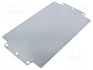 Mounting plate; steel sheet; Plating: zinc RITTAL