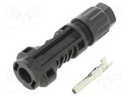 Connector: solar; male; 4÷6mm2; with contacts; crimped; SOLARLOK TE Connectivity