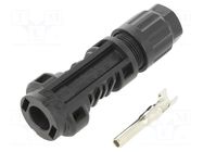 Connector: solar; plug; male; SOLARLOK; IP68; for cable; crimped TE Connectivity