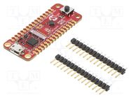 Dev.kit: Microchip PIC; Components: PIC16F15244; PIC16 MICROCHIP TECHNOLOGY