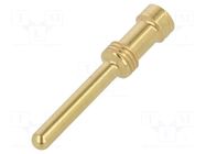 Contact; male; gold-plated; 2.5mm2; turned contacts; crimped LAPP