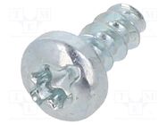 Screw; for plastic; 2.5x6; Head: cheese head; slotted,Torx®; zinc 