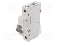 Circuit breaker; 230/400VAC; Inom: 63A; Poles: 1; Charact: C; 10kA ETI POLAM