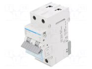 Circuit breaker; 230/400VAC; Inom: 10A; Poles: 2; Charact: B; 6kA HAGER