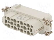 Connector: HDC; contact insert; female; 10A; 250V; PIN: 25; 25+PE AMPHENOL