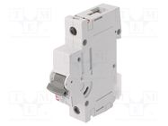 Circuit breaker; 230/400VAC; Inom: 50A; Poles: 1; Charact: C; 10kA ETI POLAM