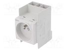 F-type socket; 230VAC; 16A; for DIN rail mounting HAGER