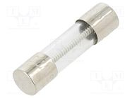 Fuse: fuse; time-lag; 3A; 250VAC; cylindrical,glass; 5x20mm; brass LITTELFUSE
