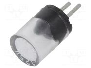 Fuse: fuse; 50mA; 125VAC; 125VDC; ultra rapid; TR3; 4.32mm; plastic LITTELFUSE