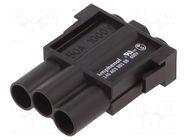 Connector: HDC; module; male; 1kV; PIN: 3; w/o contacts AMPHENOL