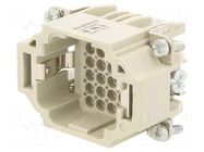 Connector: HDC; contact insert; male; 250V; PIN: 24; 24+PE; size E6 AMPHENOL