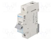 Circuit breaker; 230/400VAC; Inom: 50A; Poles: 1; Charact: C; 6kA HAGER