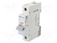 Circuit breaker; 230/400VAC; Inom: 40A; Poles: 1; Charact: C; 6kA HAGER