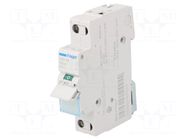 Switch-disconnector; Poles: 1; for DIN rail mounting; 16A; 230VAC HAGER
