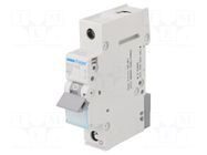 Circuit breaker; 230/400VAC; Inom: 25A; Poles: 1; Charact: C; 6kA HAGER