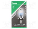 Filament lamp: automotive; PX26d; white-blue; 12V; 55W; +150% LUCAS