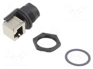 Coupler; PIN: 8; Cat: 5e; plastic; 8p8c; RJ45 socket,both sides AMPHENOL LTW