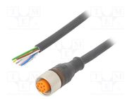 Connection lead; M12; PIN: 8; straight; 2m; plug; 30VAC; 2A; RKT; IP67 LUMBERG AUTOMATION