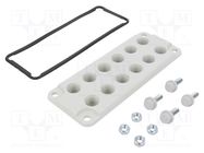 Multigate grommet; polycarbonate; grey; Holes no: 12; IP65 FIBOX