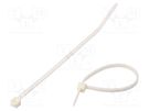Cable tie; L: 99mm; W: 2.5mm; polyamide; 80N; ivory; Ømax: 22mm PANDUIT
