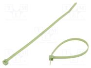 Cable tie; L: 188mm; W: 4.8mm; polypropylene; 133N; green; Ømax: 48mm PANDUIT