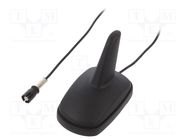 Antenna; SHARK; AM,FM; RAKU II female; black; 12VDC; RG174 