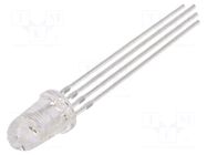 LED; RGB; 5mm; 8°; Front: convex; 2.1÷2.6/3.1÷3.6/3.1÷3.6VDC; round OPTOSUPPLY