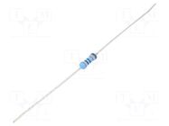 Resistor: thin film; THT; 300kΩ; 600mW; ±1%; Ø0.6x28mm; Ø2.5x6.5mm VISHAY