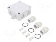 Enclosure: junction box; X: 94mm; Y: 94mm; Z: 45mm; duroplast; IP67 OBO BETTERMANN