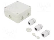 Enclosure: junction box; X: 110mm; Y: 110mm; Z: 51mm; IP67; B 9/T OBO BETTERMANN