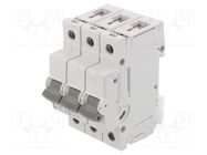 Circuit breaker; 230/400VAC; Inom: 50A; Poles: 3; Charact: B; 10kA ETI POLAM