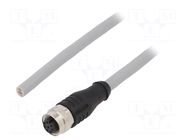 Cable: for sensors/automation; M12; PIN: 8; straight; 5m; plug; IP67 KÜBLER