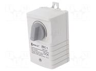 Module: process analogue calibrator; screw; 10÷12VDC; 0÷10V BREVE TUFVASSONS