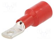 Tip: ring; 6.3mm; M6; 25mm2; crimped; for cable; insulated; red 