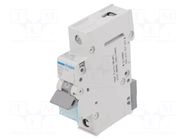 Circuit breaker; 230/400VAC; Inom: 25A; Poles: 1; Charact: B; 6kA HAGER