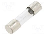 Fuse: fuse; time-lag; 5A; 250VAC; cylindrical,glass; 5x20mm; brass LITTELFUSE