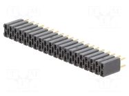 Connector: pin strips; socket; BL 2; female; PIN: 40; straight; THT FISCHER ELEKTRONIK