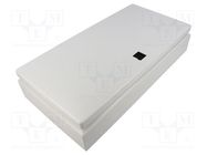 Enclosure: wall mounting; X: 200mm; Y: 400mm; Z: 80mm; E-BOX KX; IP66 RITTAL