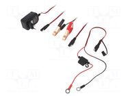 Charger: for rechargeable batteries; GEL,acid-lead; 12V; 750mA Everpower