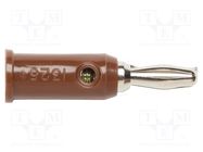Plug; 4mm banana; 5A; 5kV; brown; Max.wire diam: 3mm; on cable; 1325 POMONA