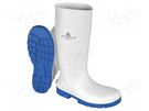 Boots; Size: 43; white-blue; PVC; high,with metal toecap DELTA PLUS