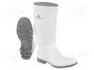 Boots; Size: 43; white-gray; PVC; bad weather,slip; high DELTA PLUS