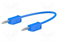 Test lead; 60VDC; 30VAC; 10A; banana plug 2mm,both sides; blue 