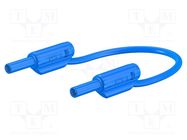 Test lead; 10A; banana plug 2mm,both sides; Urated: 600V; blue 