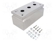 Enclosure: for remote controller; IP66; X: 100mm; Y: 220mm; Z: 90mm RITTAL
