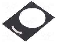 Label; black; Button marking: arrow; control cassette; 30x40mm SCHNEIDER ELECTRIC