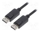 Cable; DisplayPort 1.2; DisplayPort plug,both sides; 2m; black QOLTEC