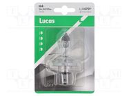 Filament lamp: automotive; P43t; transparent; 12V; 60/55W; LLB LUCAS