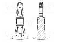 Assembly stud; polyamide 66; L: 9.5mm; latch/latch; natural DREMEC